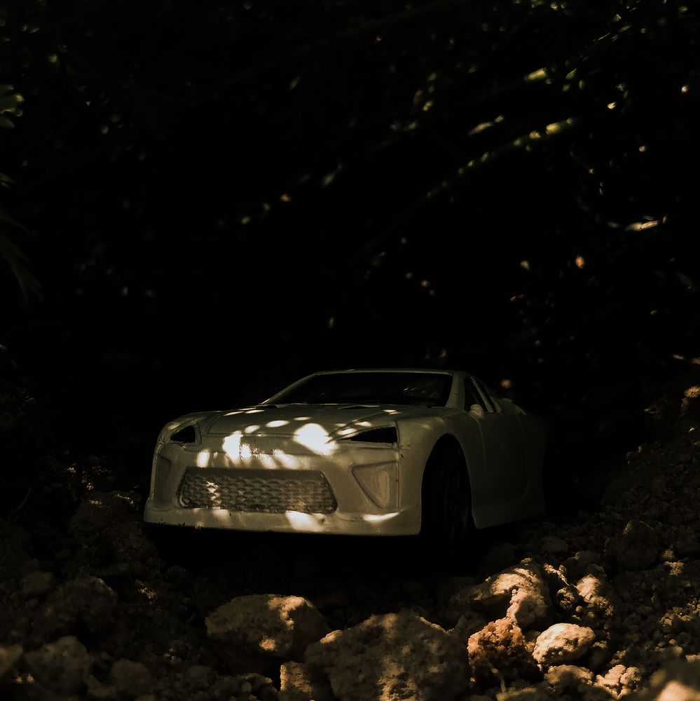 Photograph by Souvik Bhattacharyya