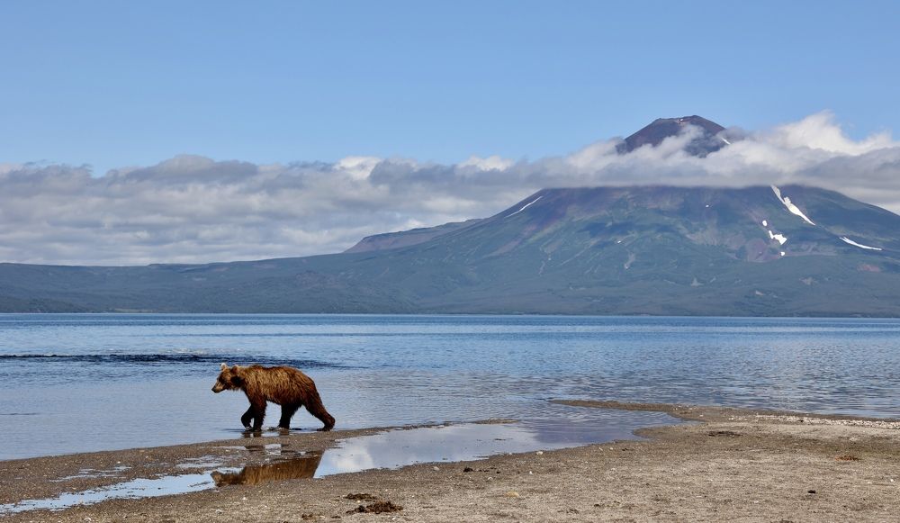 Photograph by Леонид Голубков