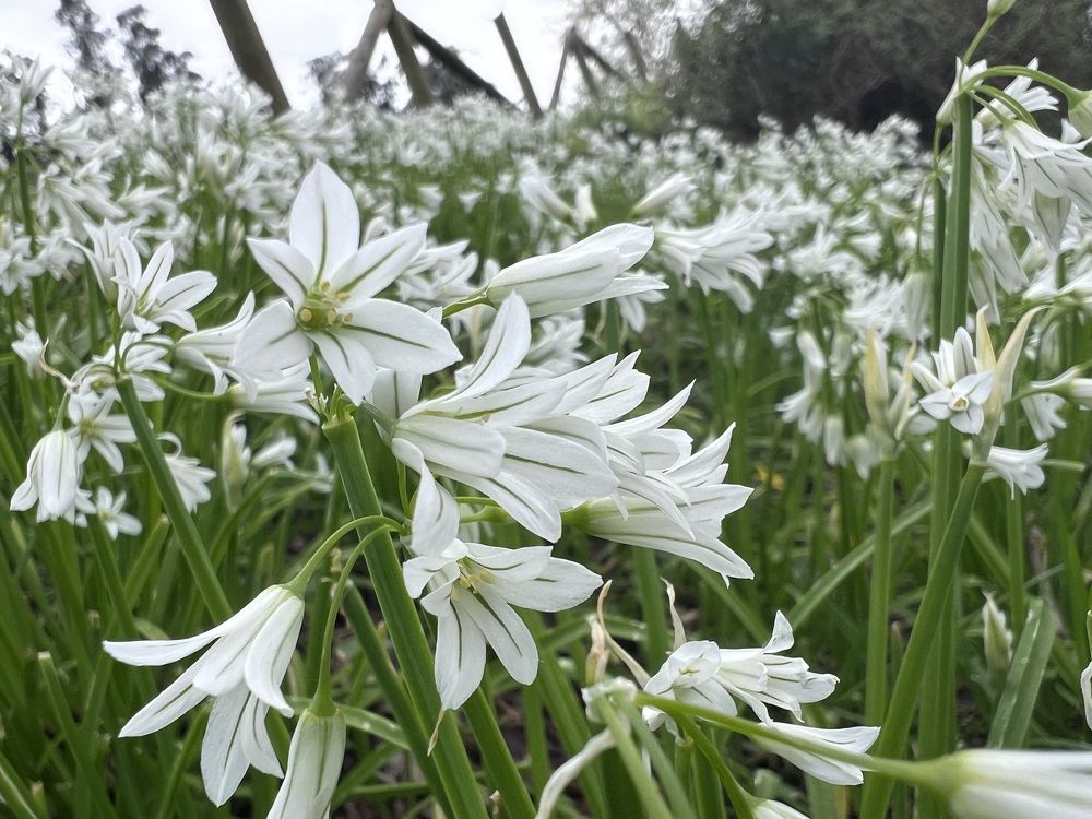 Photograph by Константин Нагорняк