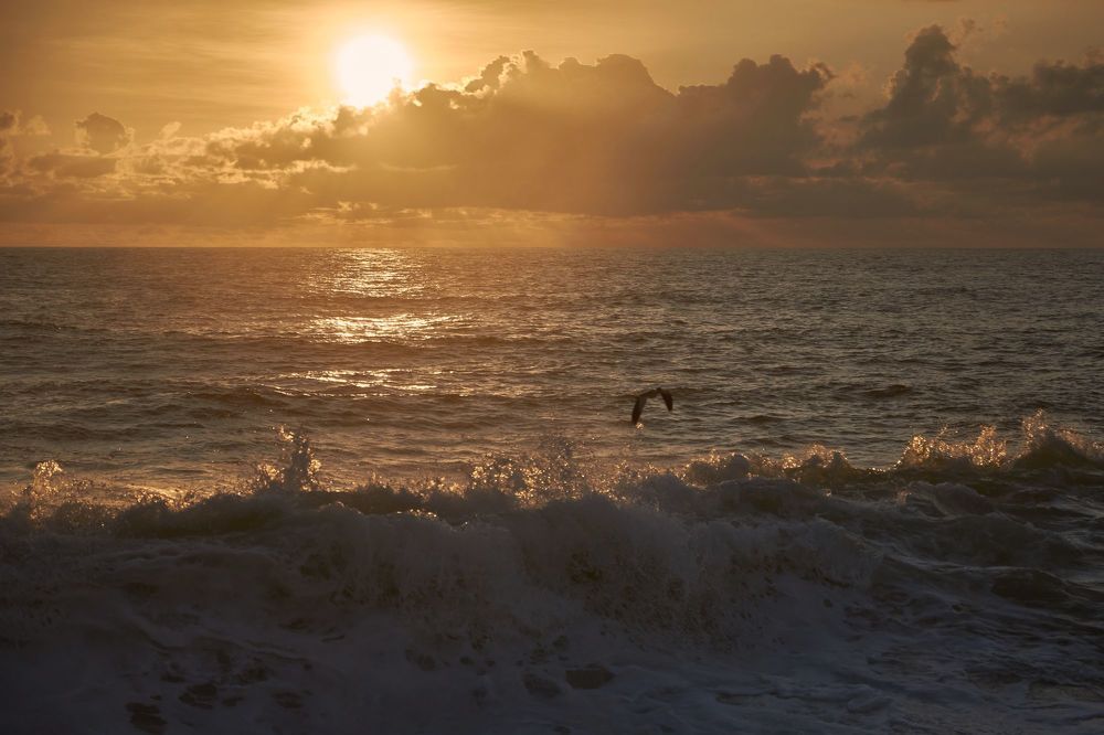 Photograph by Сергей Ветошкин