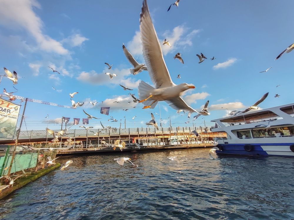 Photograph by Якубаев Шухрат