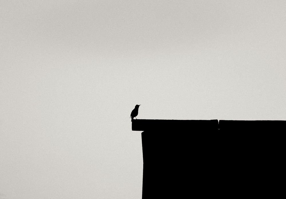 Photograph by Андрей Астафьев