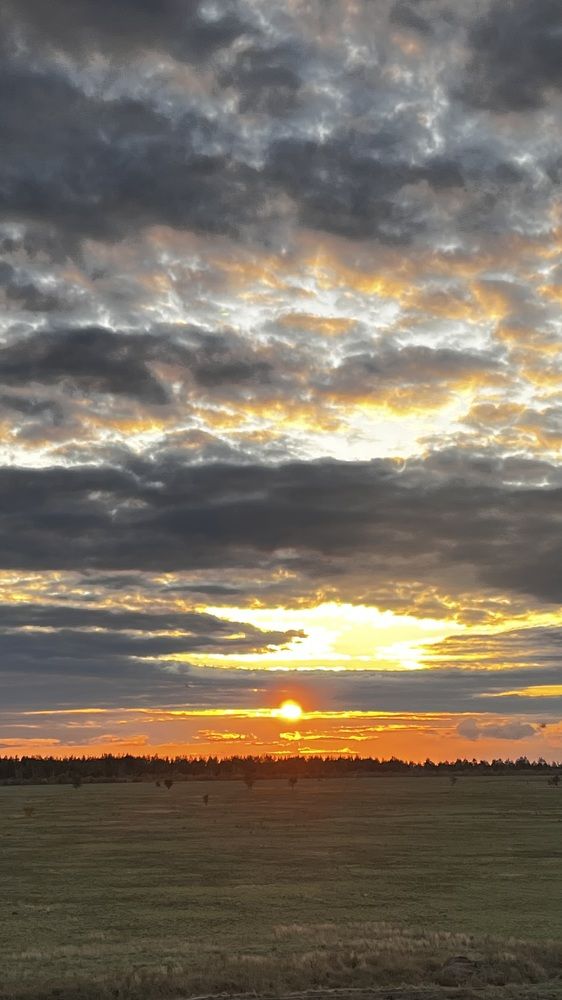 Photograph by Ольга Белоусова