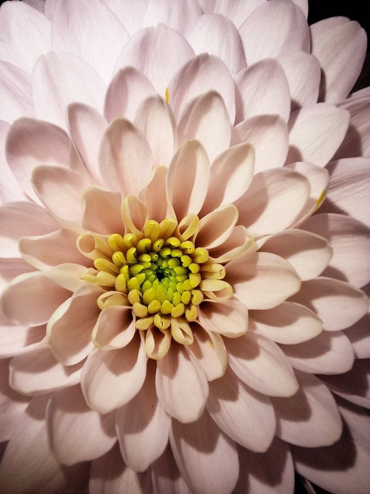 Photograph by Igor Chechin