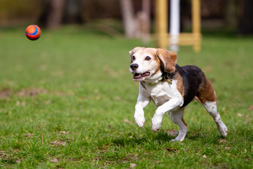 Фотография автора Анна Яковенко