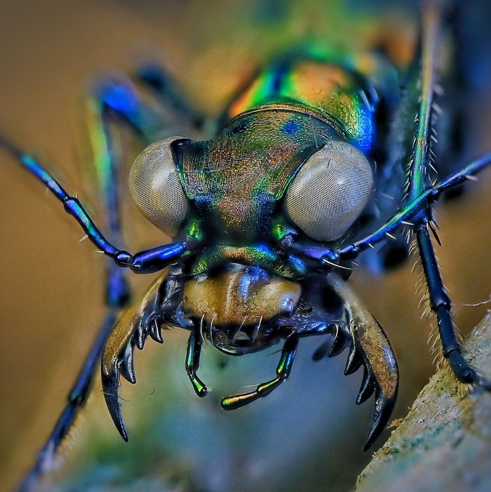 Photograph by Савчук Анатолий