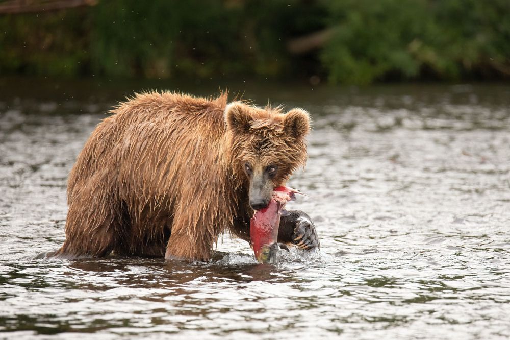 Photograph by Elena Levi