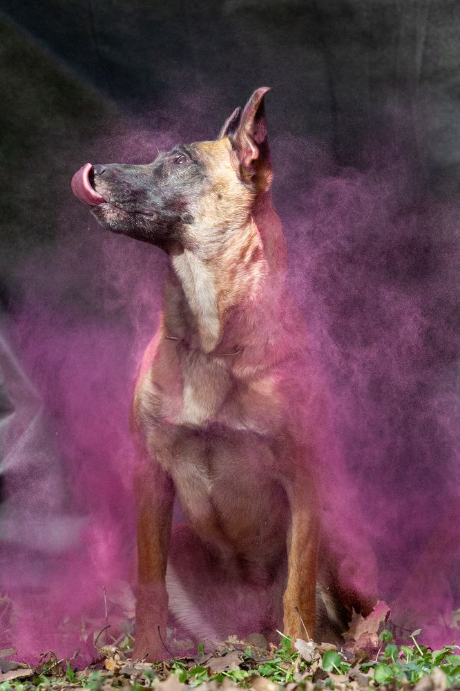 Фотография автора Анна Яковенко