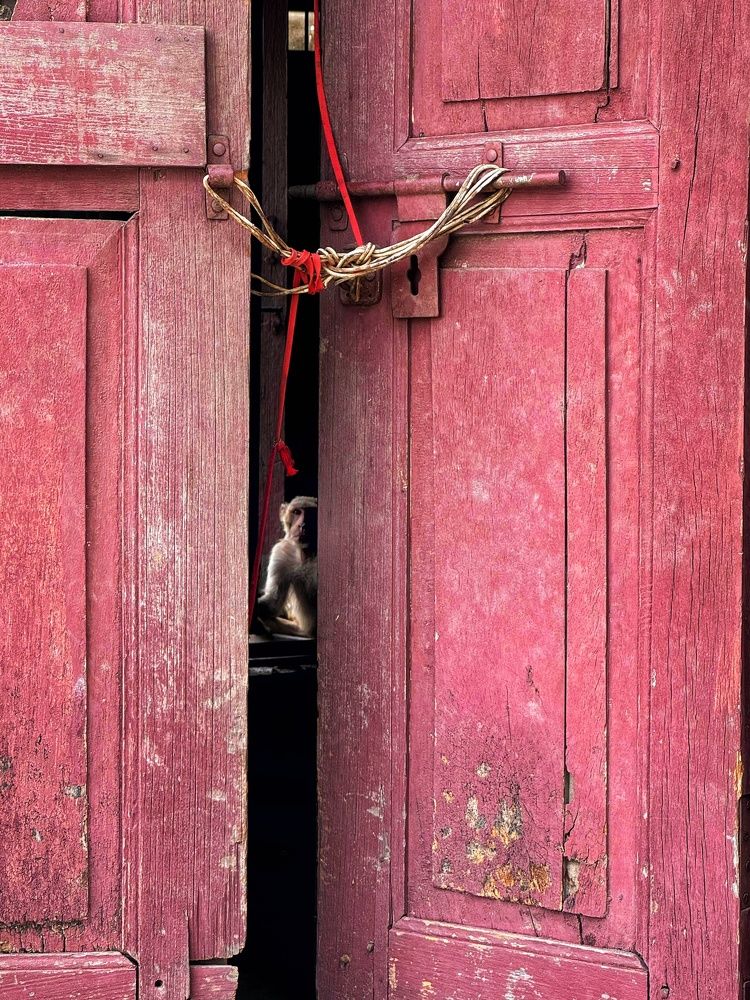 Фотография автора Jahnavi Varma