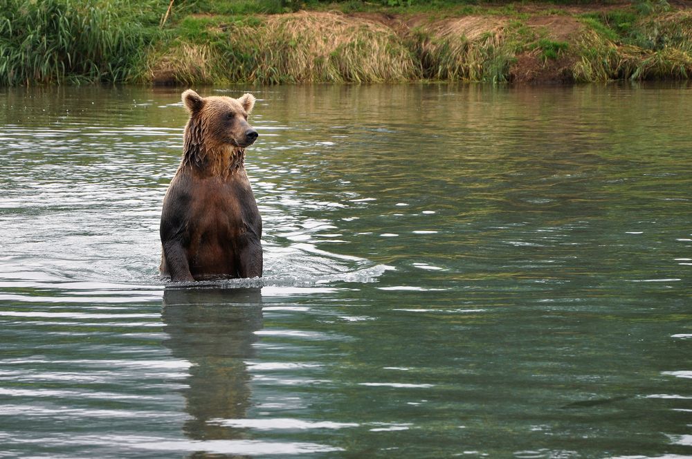 Photograph by Дарья