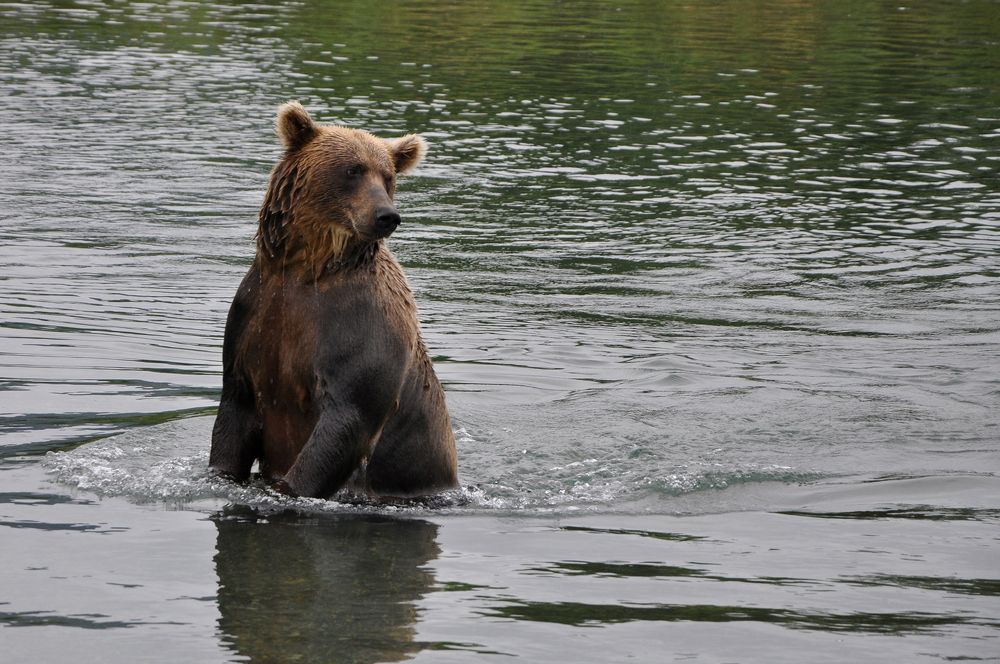 Photograph by Дарья