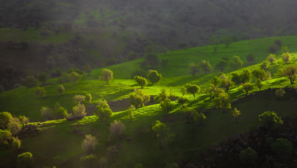 Фотография автора ehsan kaviani