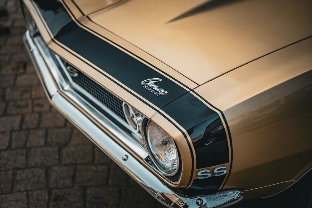 Photograph by Omer Gojak