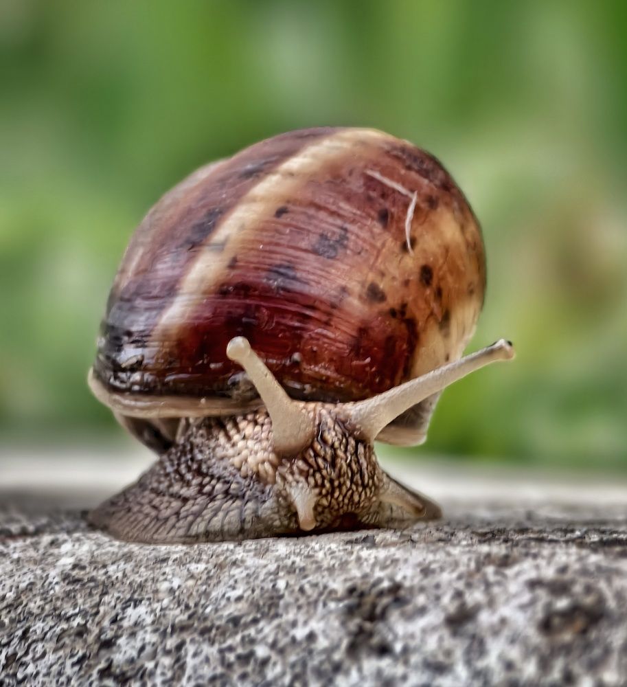 Photograph by Михаил Саидов