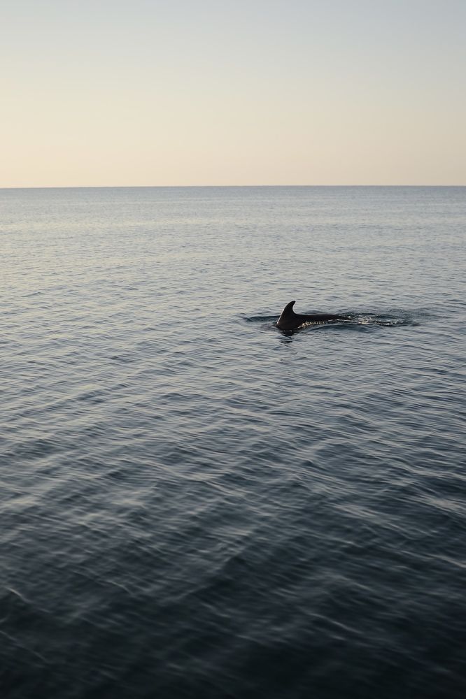 Photograph by Тимур Хабибуллин