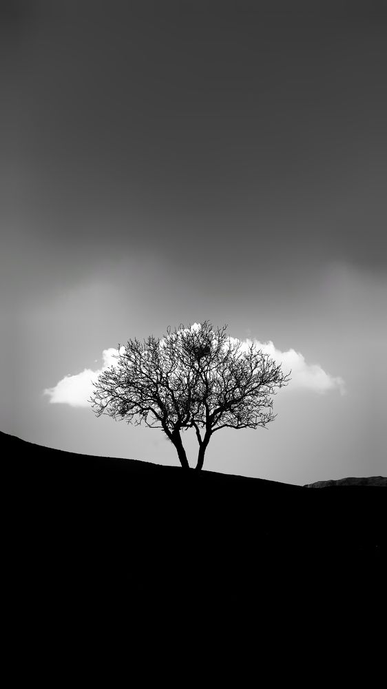 Photograph by MMD HORANFAR