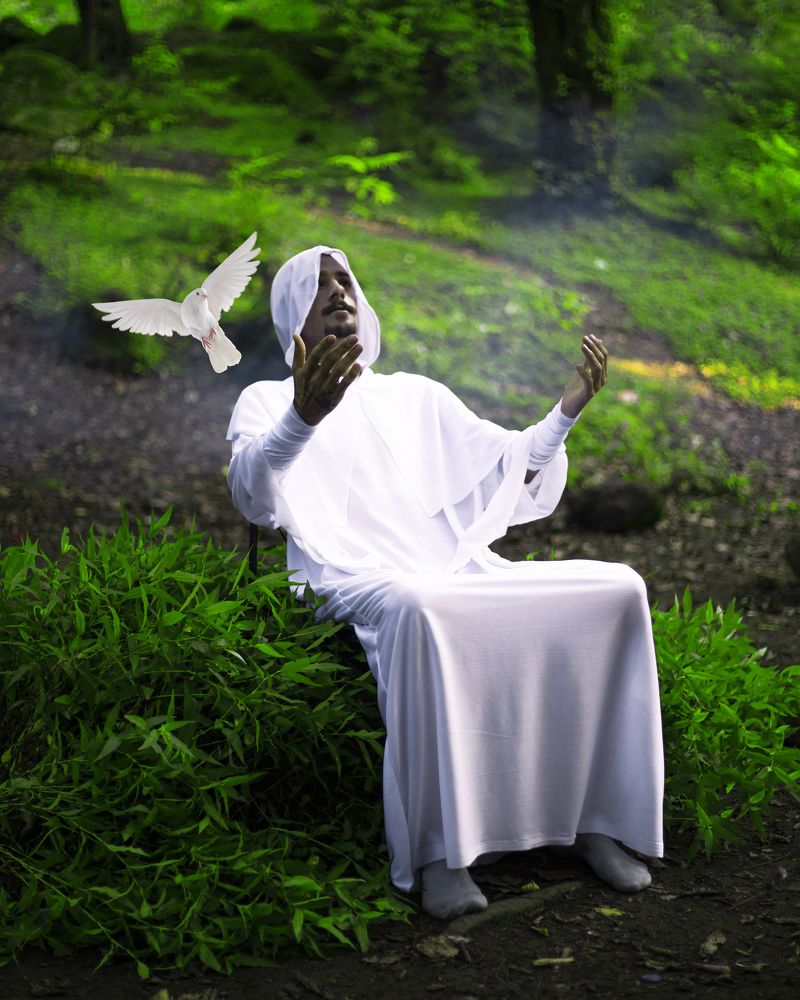 Photograph by sepehr khazaei