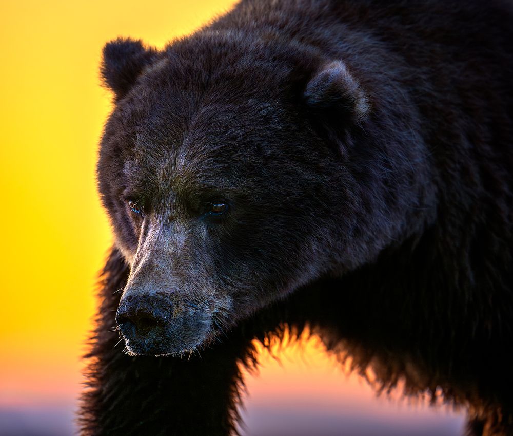 Photograph by Yoshiki Nakamura