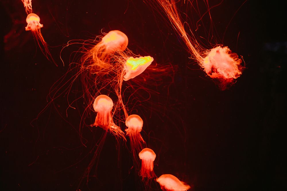 Photograph by Сергей Зеленский