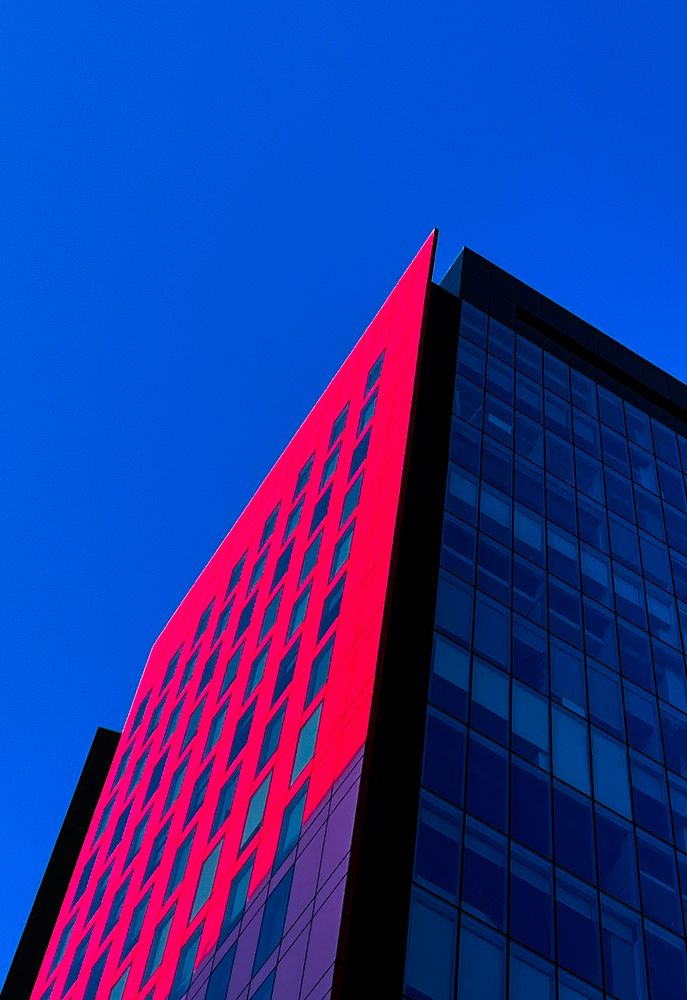 Photograph by Javier Francisco Mahecha Manrique