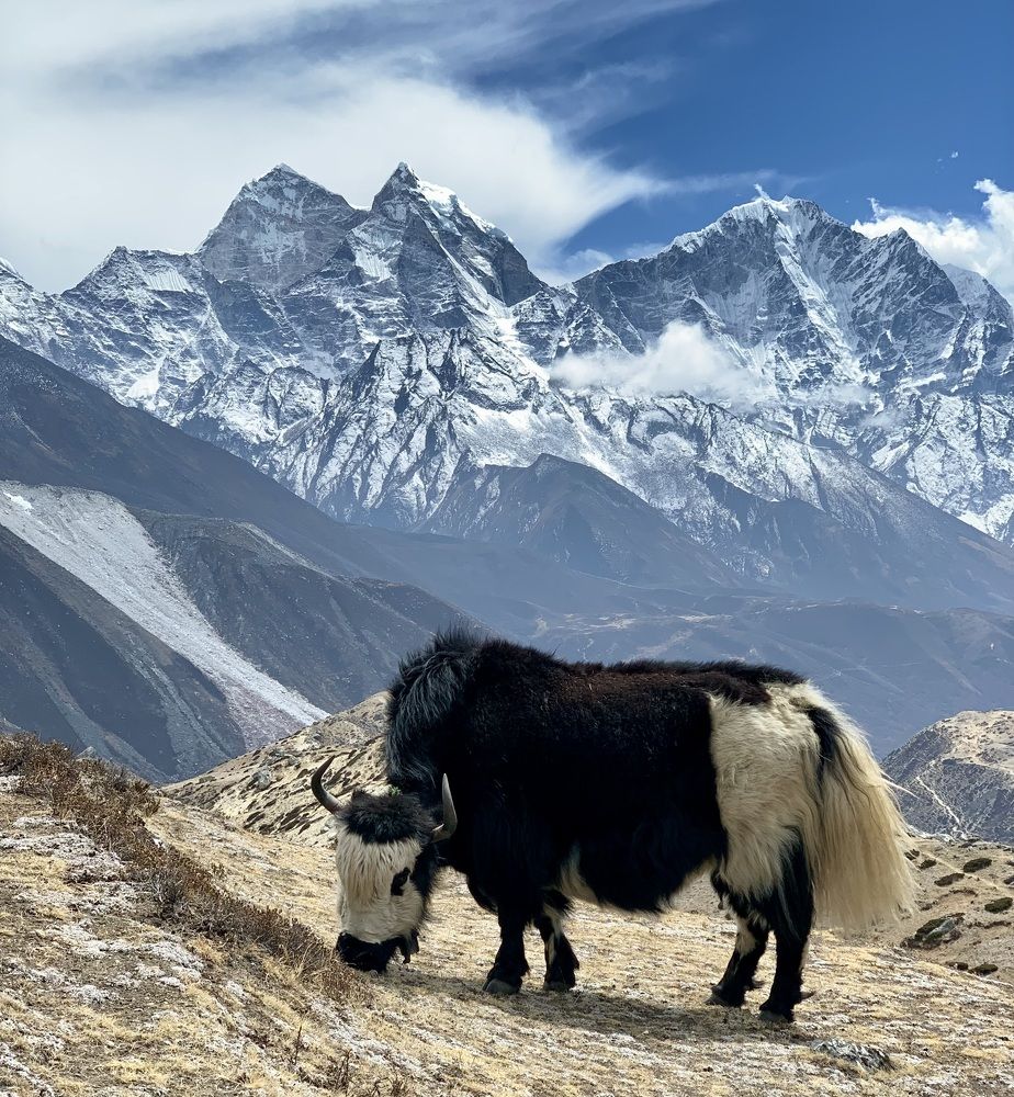 Фотография автора Oleg Matronitskiy