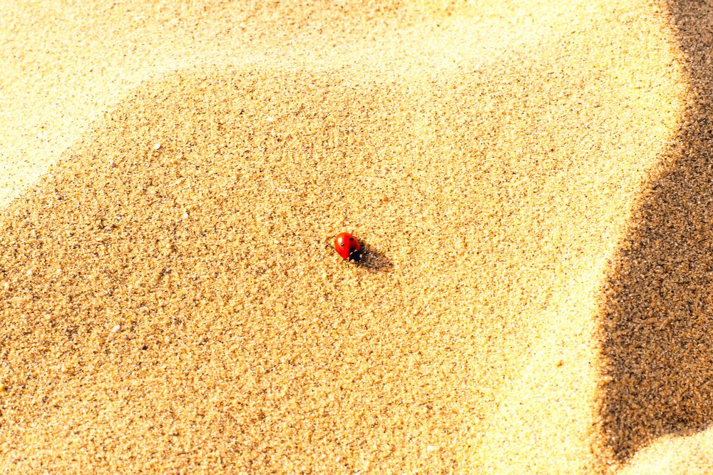 Photograph by Татьяна Михайловна