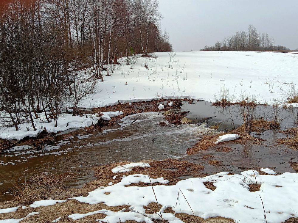 Photograph by Валентина Смирнова