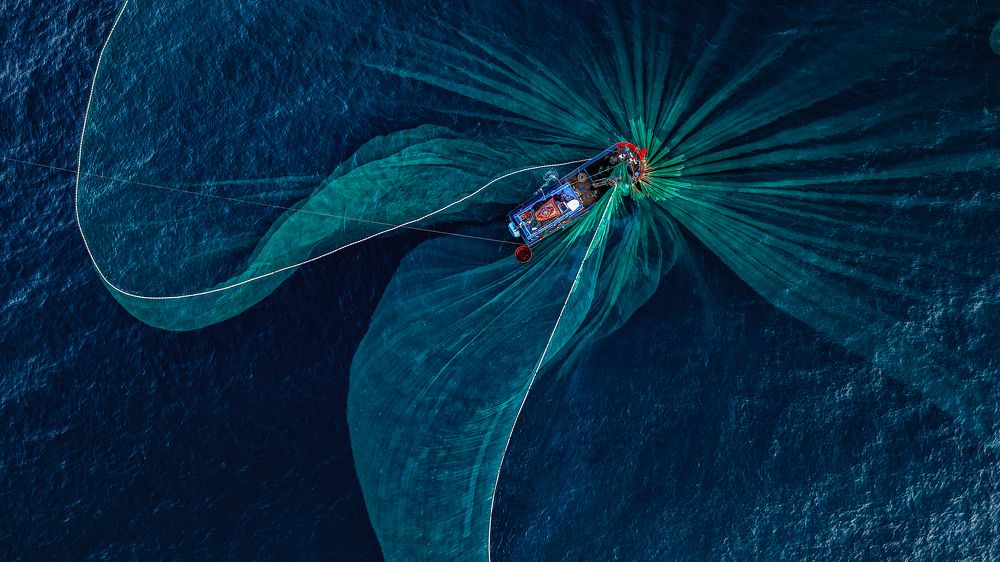 Фотография автора Sơn nguyễn ngọc