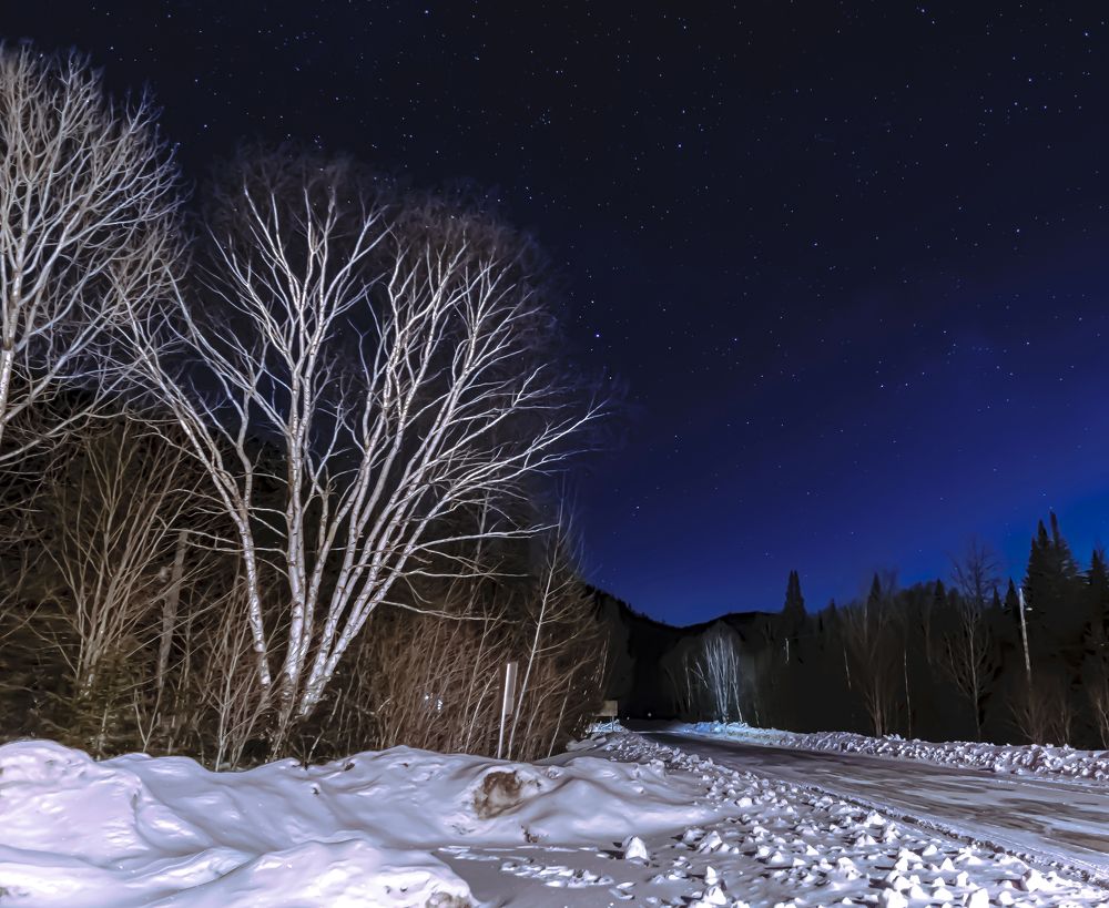 Photograph by Silvia Marcos