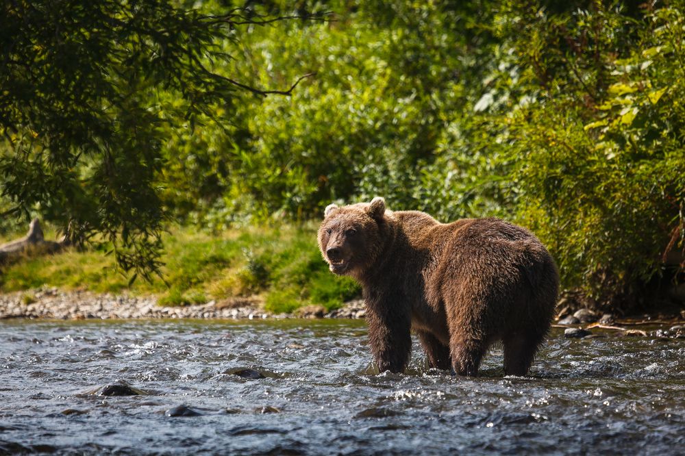 Photograph by Дмитрий Уткин
