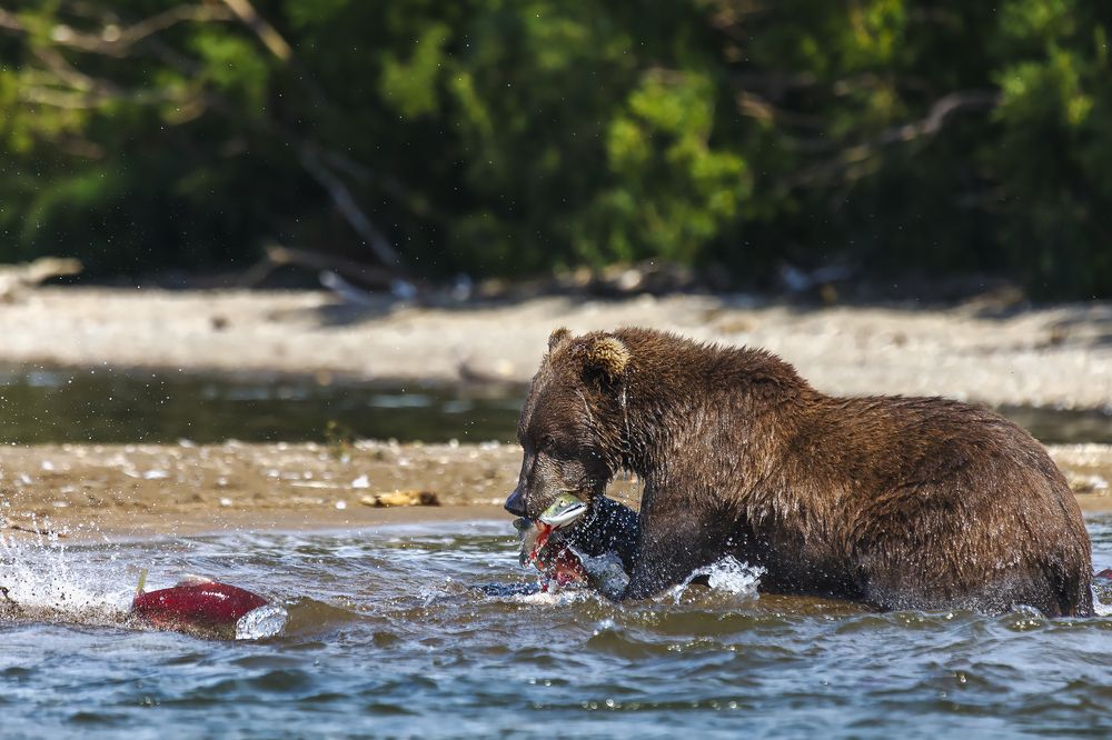 Photograph by Дмитрий Уткин