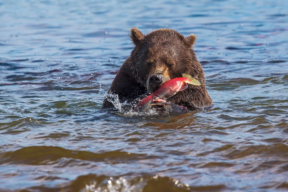 Photograph by Дмитрий Уткин