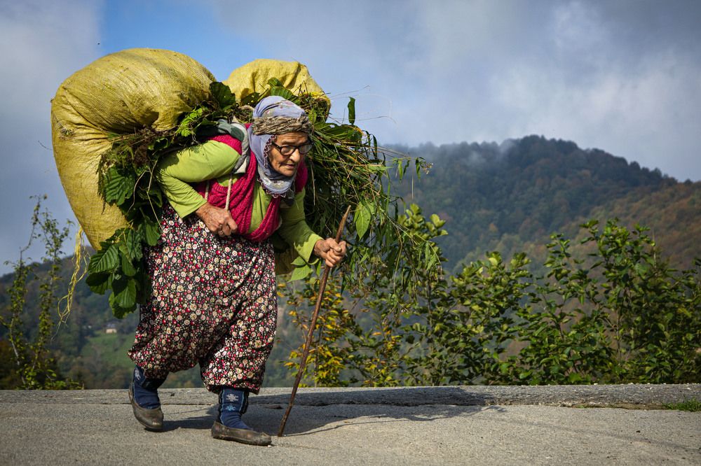Фотография автора Bekir Büyükgöz