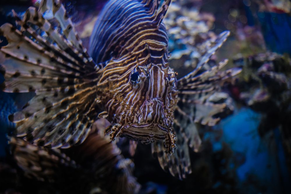 Photograph by Юлия Щетинина