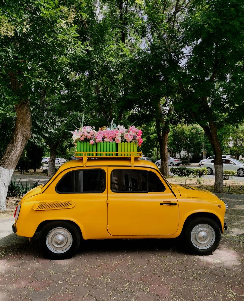 Эх, прокачу с цветами!