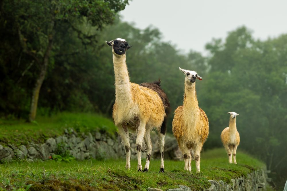 Photograph by Fadi Haroun