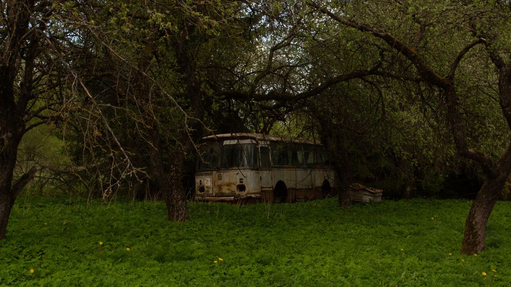 Photograph by Анна Масленникова-Бриль