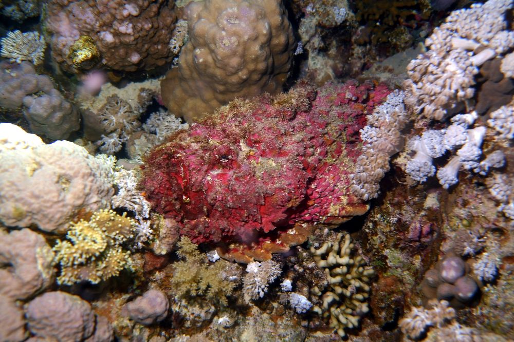 Photograph by DUBINA LEONID