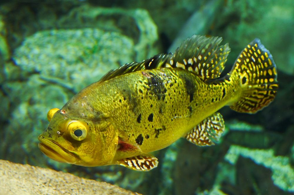 Photograph by DUBINA LEONID