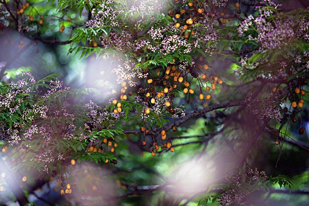 Photograph by Сергей Рапопорт