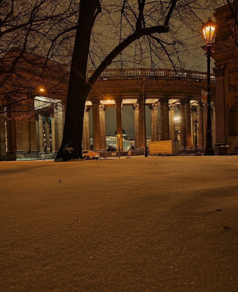 Photo #10518258