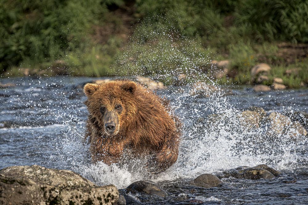 Photograph by Paolo Barbarini