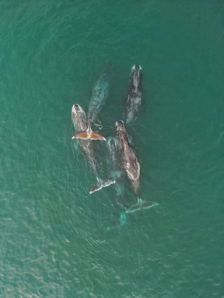 Фотография автора Андрей Дербин