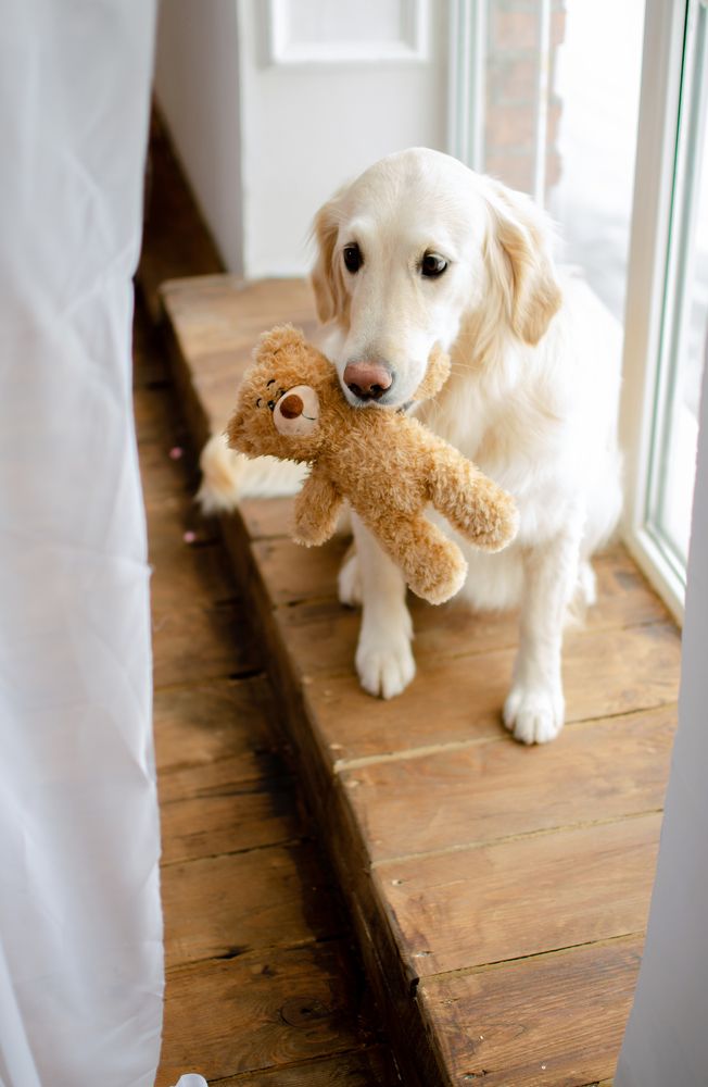 Photograph by Юлия Волгина