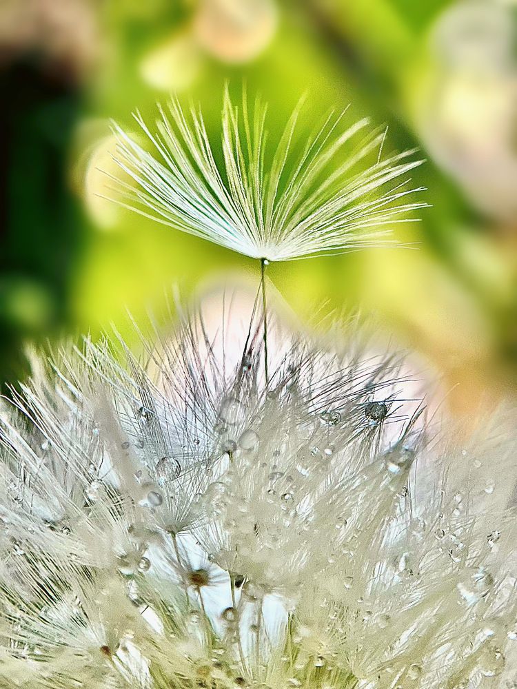 Photograph by Елена Громова