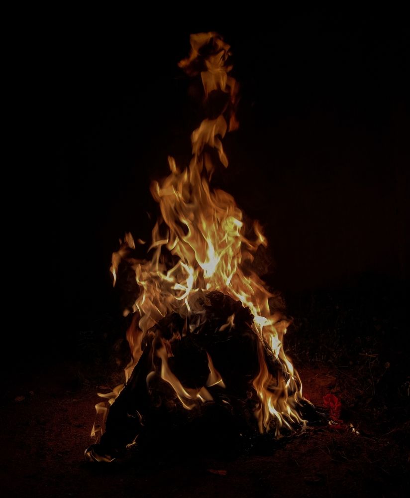 Photo #10518591