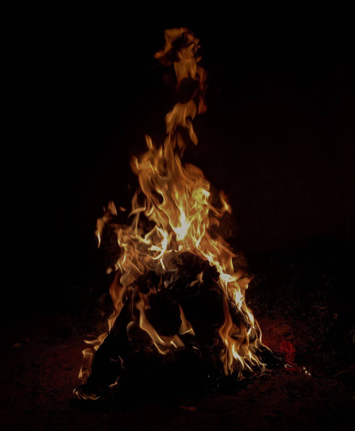 Photo #10518591