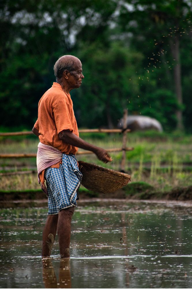 Photograph by Saikat Hazra