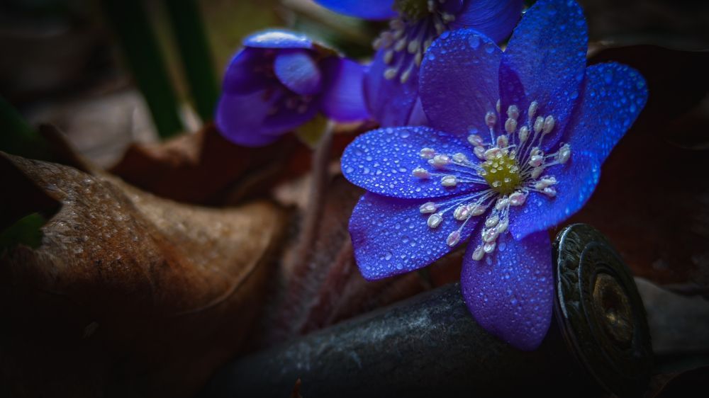 Photograph by Денис Грамович