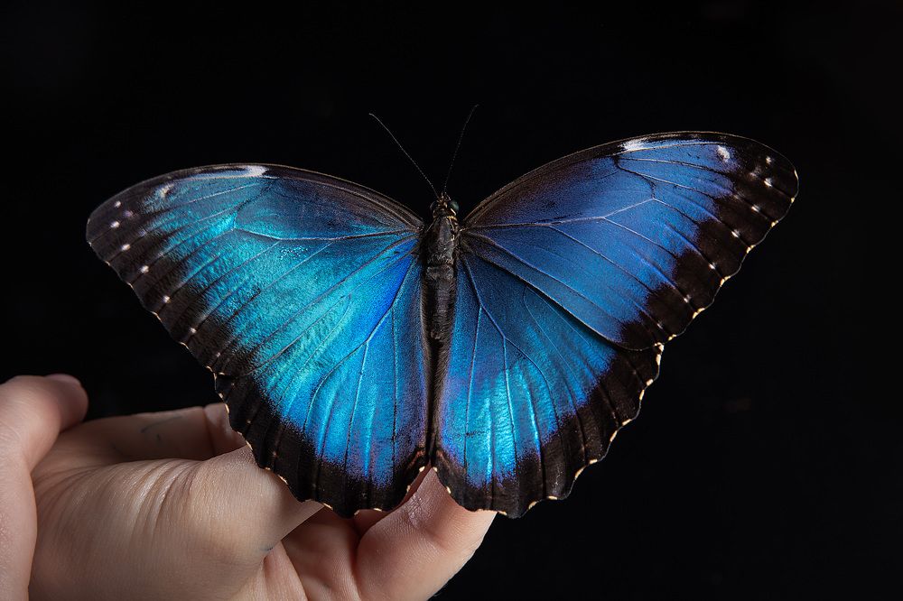 Photograph by Ирина Подгорная